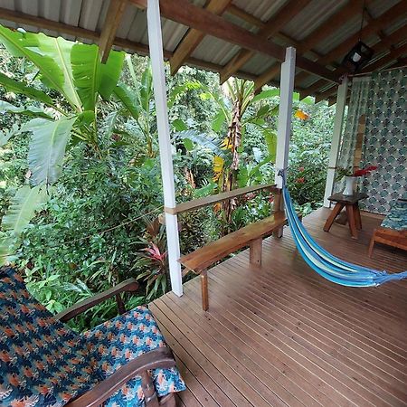 Casa Lina Sloth View Exotic Apartment With Privat Kitchen Puerto Viejo de Talamanca Luaran gambar
