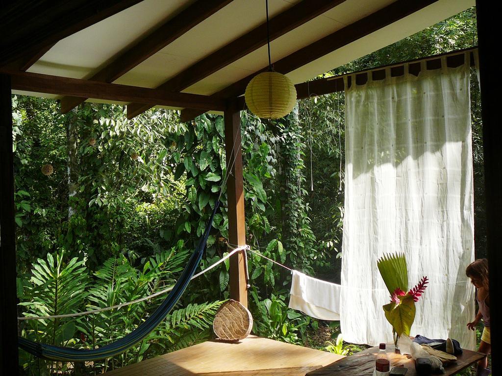 Casa Lina Sloth View Exotic Apartment With Privat Kitchen Puerto Viejo de Talamanca Bilik gambar