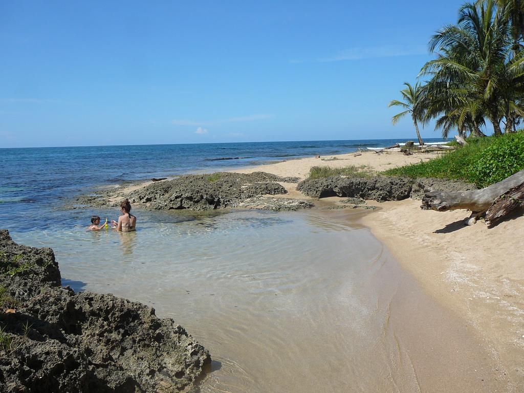 Casa Lina Sloth View Exotic Apartment With Privat Kitchen Puerto Viejo de Talamanca Bilik gambar