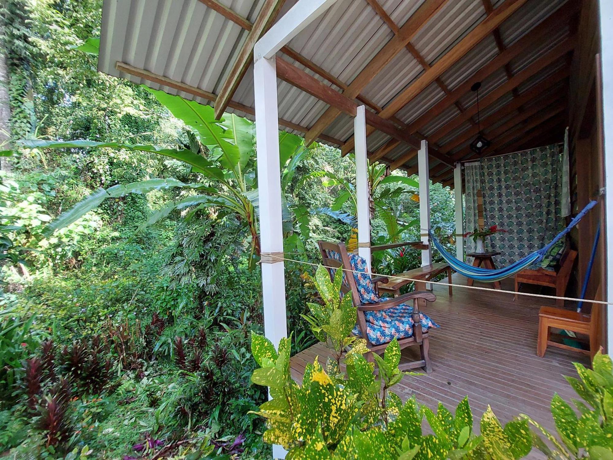 Casa Lina Sloth View Exotic Apartment With Privat Kitchen Puerto Viejo de Talamanca Luaran gambar