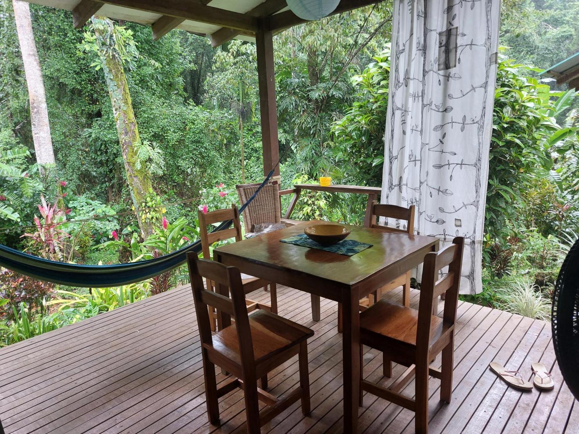 Casa Lina Sloth View Exotic Apartment With Privat Kitchen Puerto Viejo de Talamanca Luaran gambar