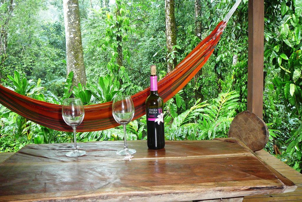 Casa Lina Sloth View Exotic Apartment With Privat Kitchen Puerto Viejo de Talamanca Bilik gambar