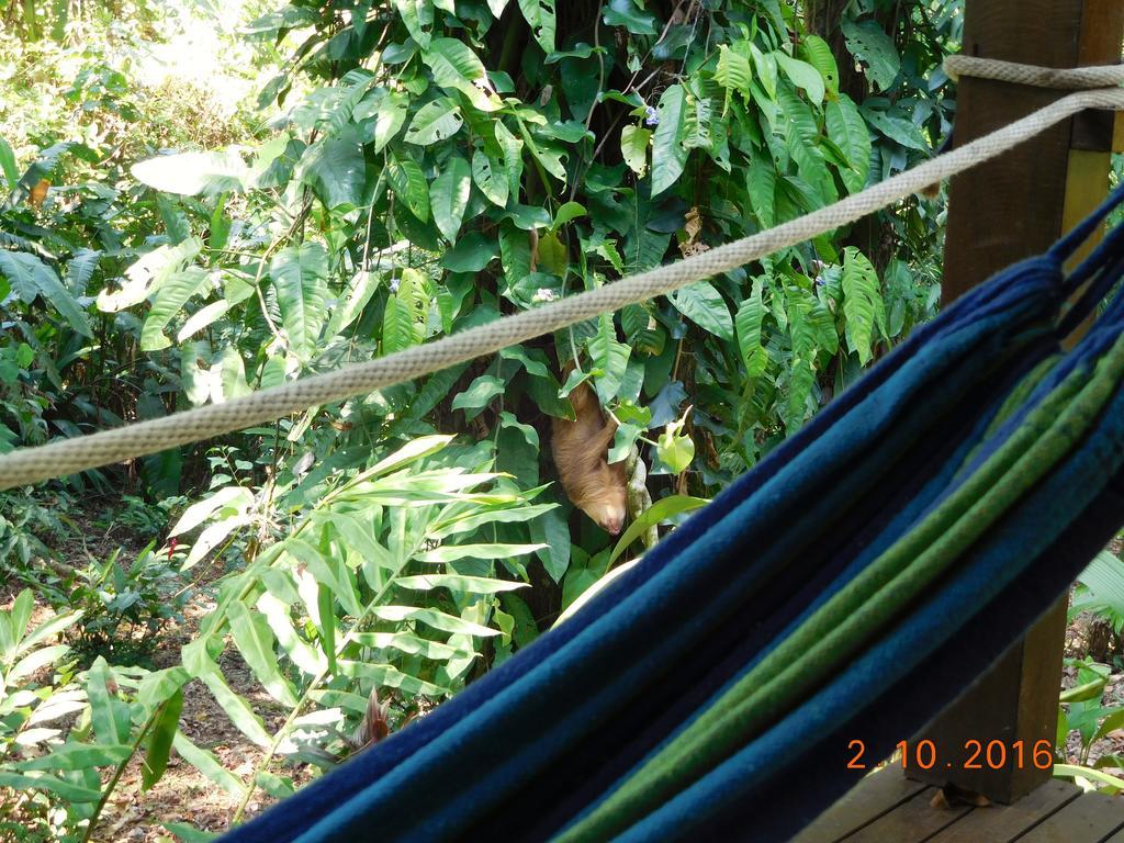 Casa Lina Sloth View Exotic Apartment With Privat Kitchen Puerto Viejo de Talamanca Luaran gambar