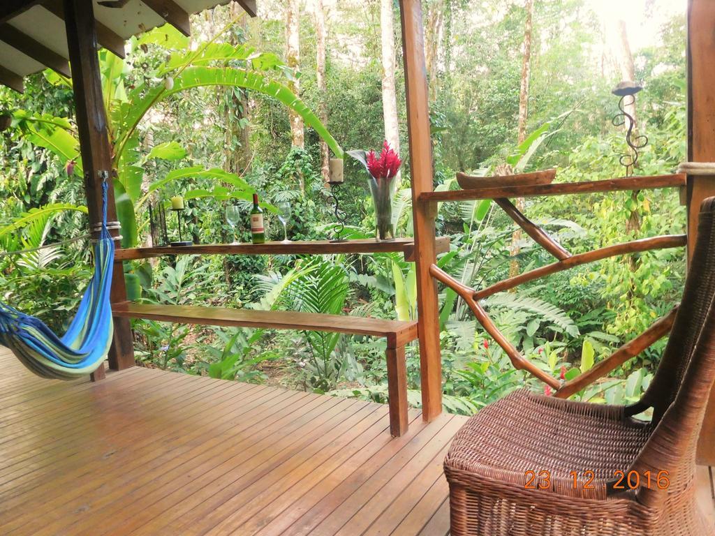 Casa Lina Sloth View Exotic Apartment With Privat Kitchen Puerto Viejo de Talamanca Luaran gambar
