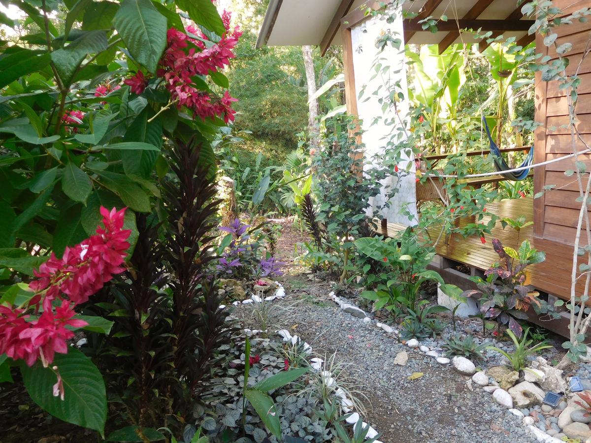 Casa Lina Sloth View Exotic Apartment With Privat Kitchen Puerto Viejo de Talamanca Luaran gambar