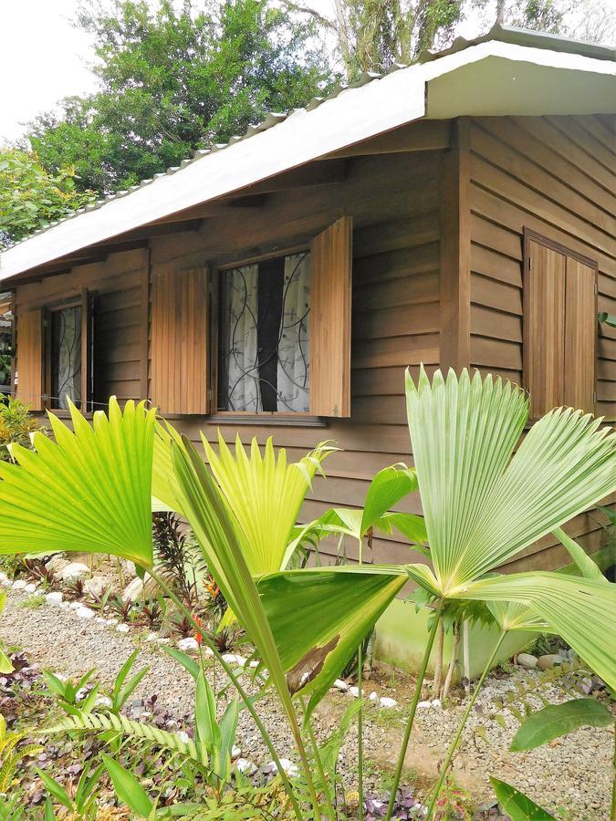 Casa Lina Sloth View Exotic Apartment With Privat Kitchen Puerto Viejo de Talamanca Luaran gambar